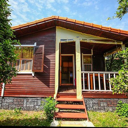 Three Islands Bungalow Çıralı Esterno foto