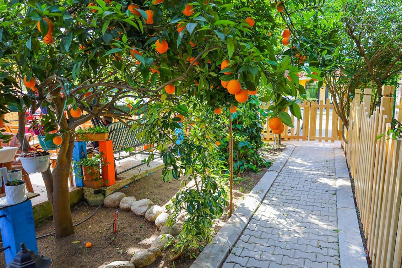 Three Islands Bungalow Çıralı Esterno foto