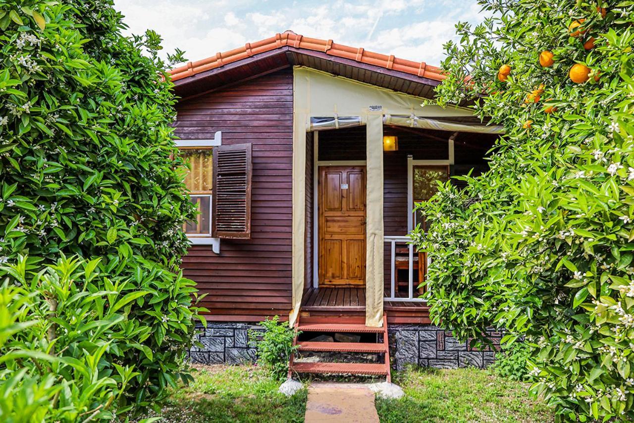 Three Islands Bungalow Çıralı Esterno foto